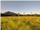 Moorland NSW 2443