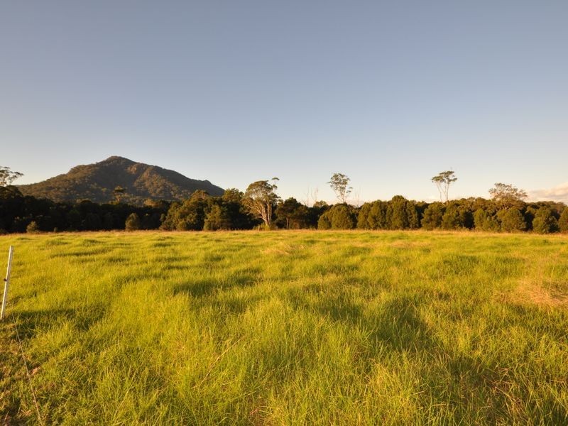 Moorland NSW 2443