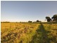 Moorland NSW 2443