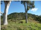 Wingham NSW 2429
