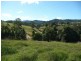 Wingham NSW 2429