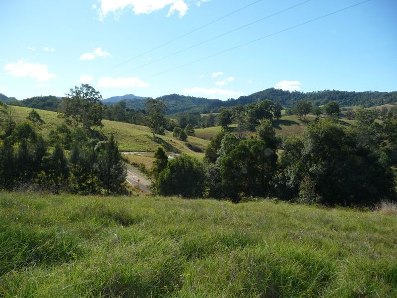 Wingham NSW 2429