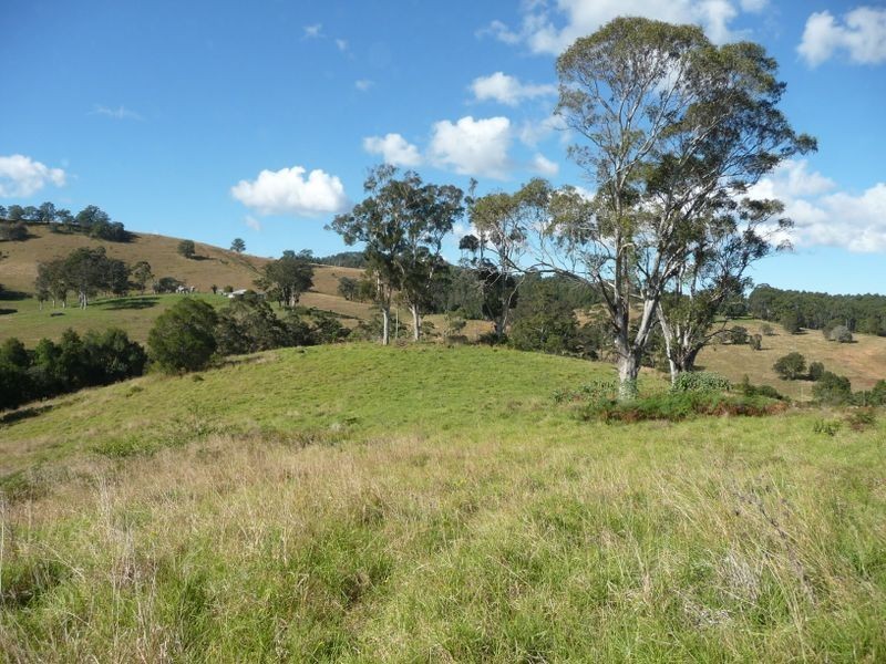 Wingham NSW 2429