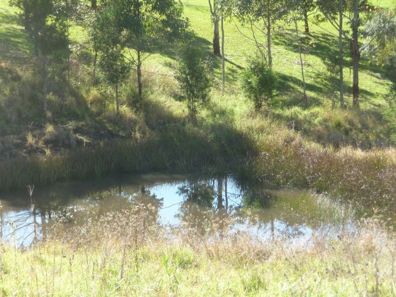 Wingham NSW 2429