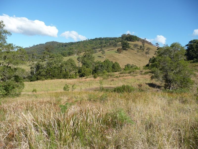Wingham NSW 2429
