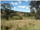 Wingham NSW 2429