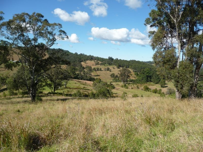 Wingham NSW 2429