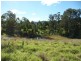 Wingham NSW 2429