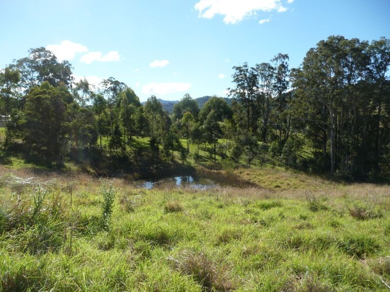 Wingham NSW 2429