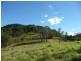 Wingham NSW 2429