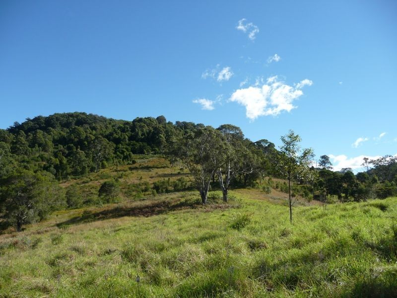 Wingham NSW 2429