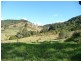 Wingham NSW 2429
