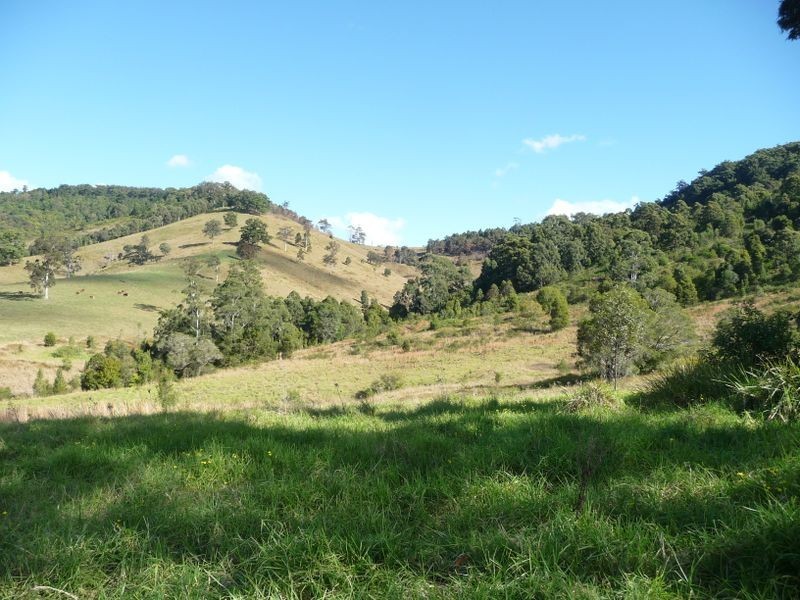 Wingham NSW 2429