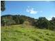 Wingham NSW 2429