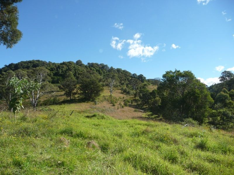 Wingham NSW 2429