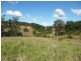 Wingham NSW 2429