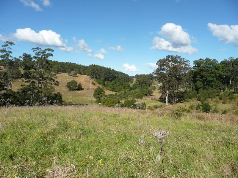 Wingham NSW 2429