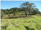 Wingham NSW 2429