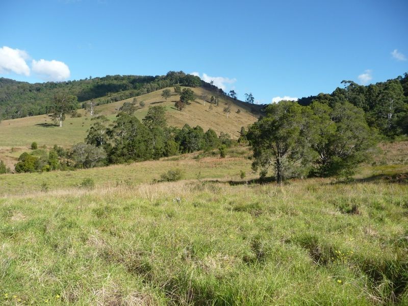 Wingham NSW 2429