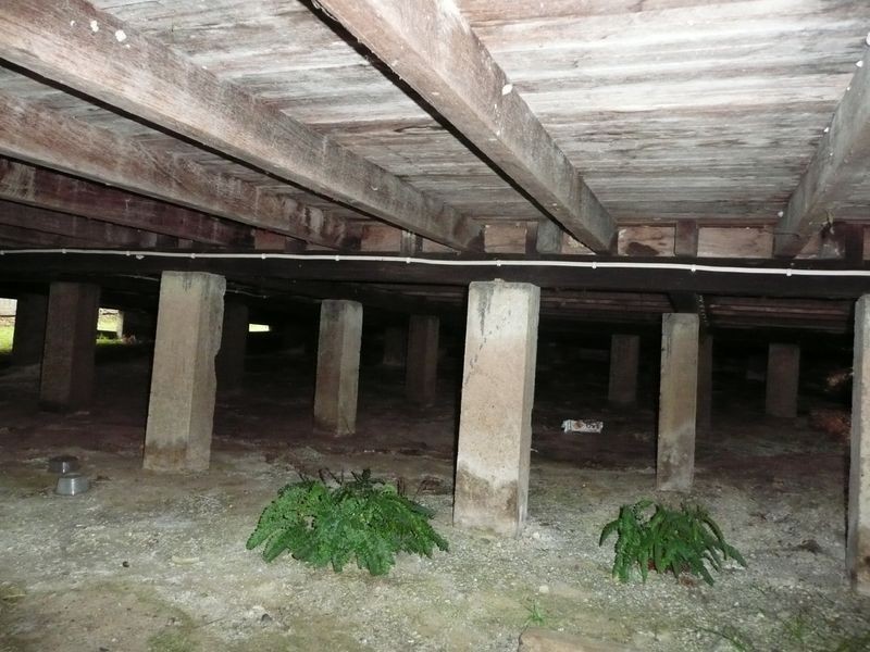 7 Rouse Street, Wingham NSW 2429