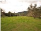 Cundle Flat NSW 2424