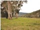 Cundle Flat NSW 2424