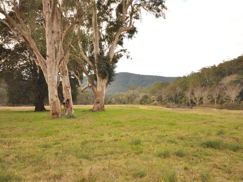 Cundle Flat NSW 2424