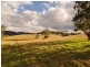 Cundle Flat NSW 2424