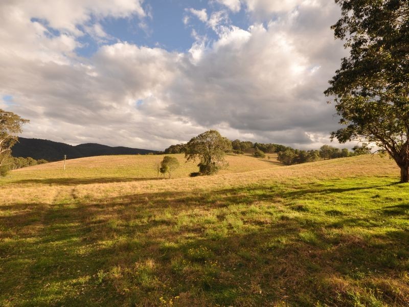 Cundle Flat NSW 2424
