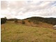 Cundle Flat NSW 2424