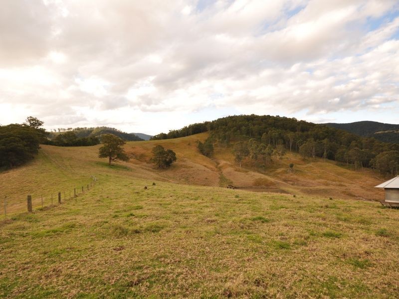 Cundle Flat NSW 2424