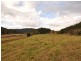 Cundle Flat NSW 2424