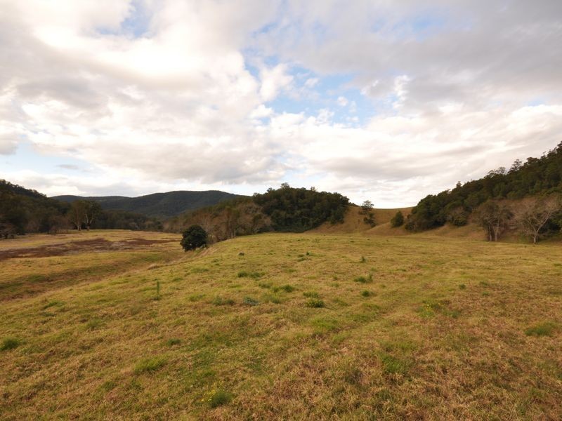 Cundle Flat NSW 2424