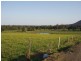 Johns River NSW 2443