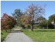Lorne NSW 2439