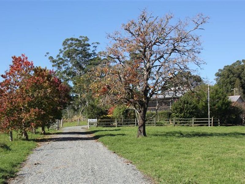 Lorne NSW 2439