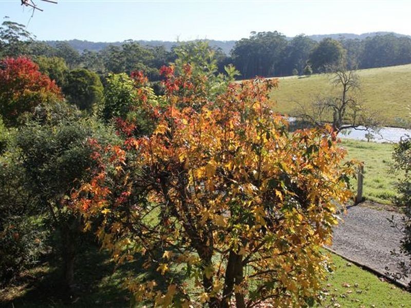Lorne NSW 2439