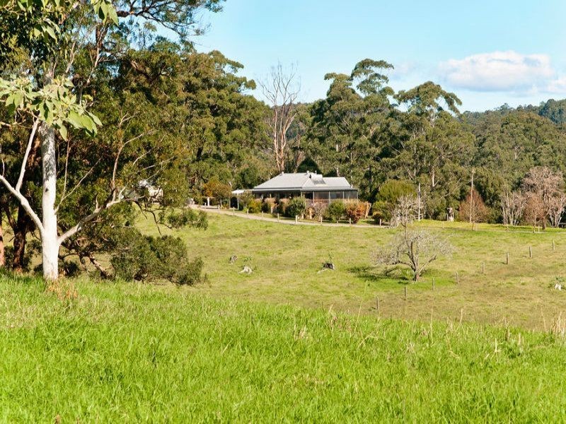 Lorne NSW 2439