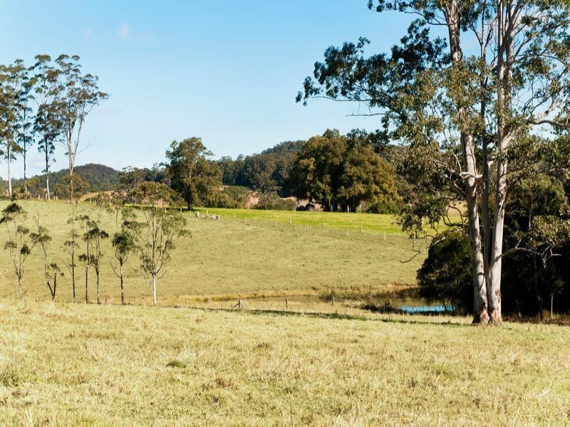 Lorne NSW 2439