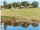 Lorne NSW 2439