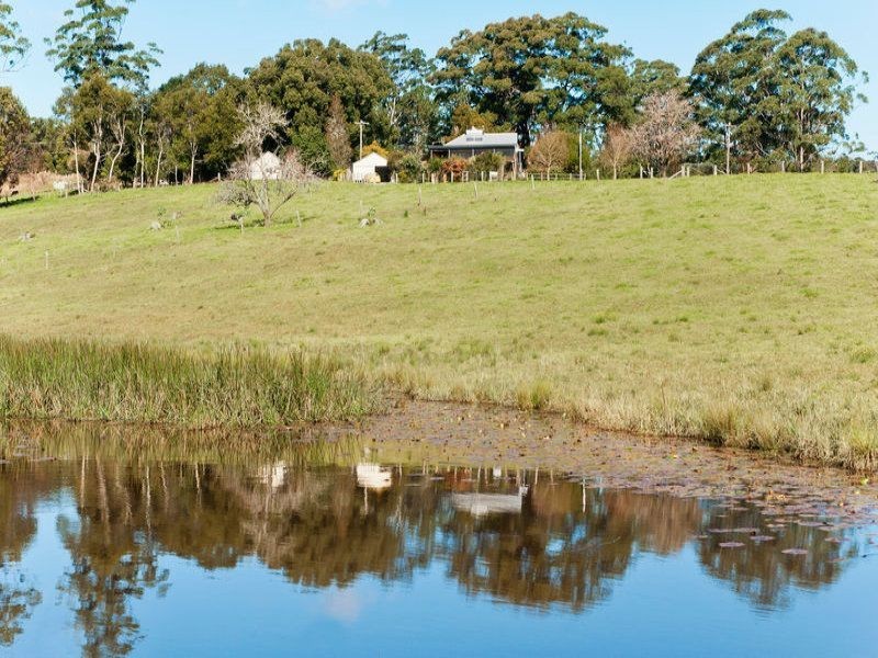 Lorne NSW 2439