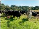 Lorne NSW 2439
