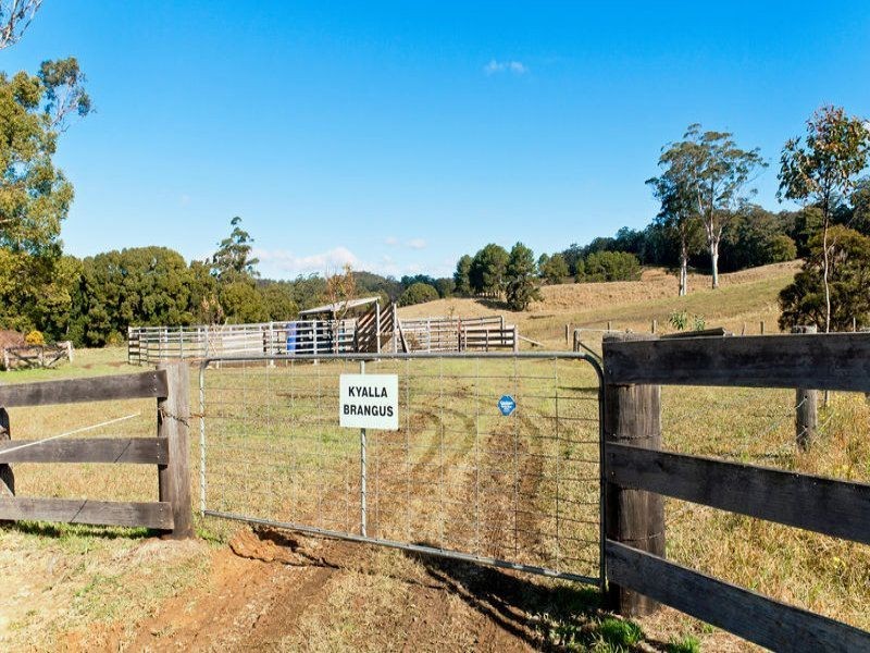 Lorne NSW 2439