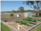 Mount George NSW 2424