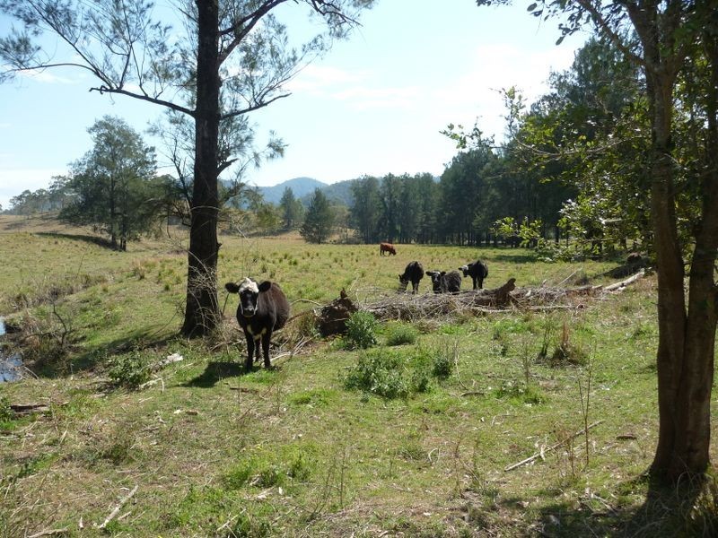 Mount George NSW 2424