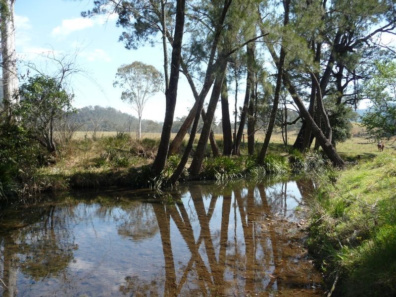 Mount George NSW 2424