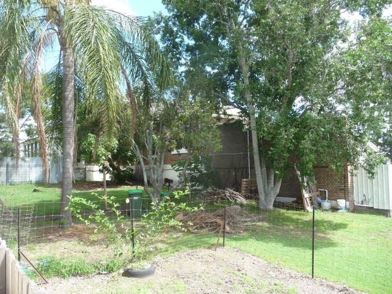 43 Isabella Street, Wingham NSW 2429