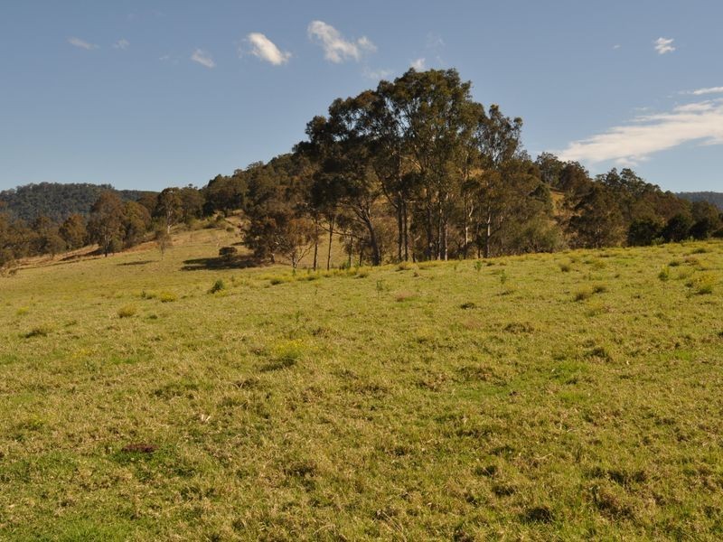 Kimbriki NSW 2429
