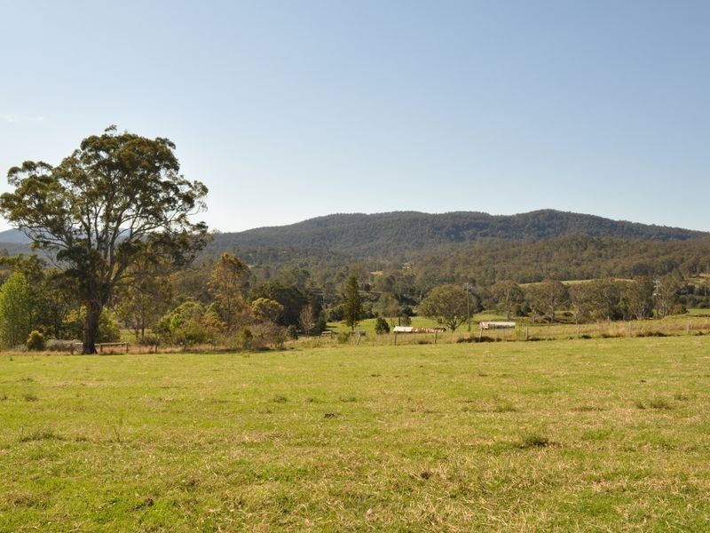 Kimbriki NSW 2429