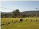 Kimbriki NSW 2429